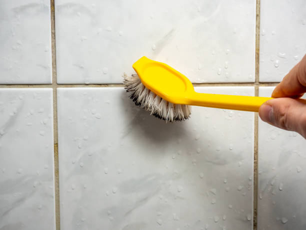 Trusted Califon, NJ Mold Removal Experts