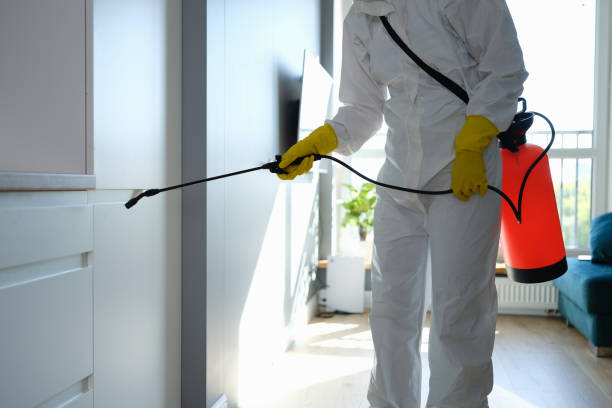 Best Residential Mold Removal  in Califon, NJ