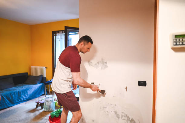 Best Professional Mold Removal  in Califon, NJ